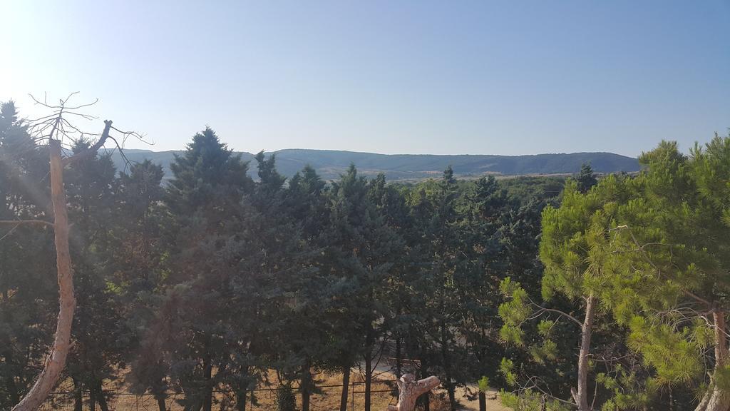 Hotel Menta E Rosmarino Monte SantʼAngelo Pokoj fotografie